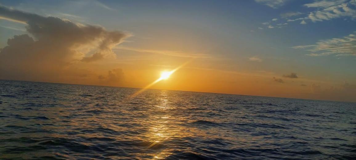 شقة Desired View Choiseul المظهر الخارجي الصورة